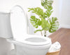 A toilet next to a thriving monstera plant