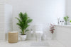 Bright modern bathroom with white toilet, indoor plants, laundry basket, and minimalist countertop decor.