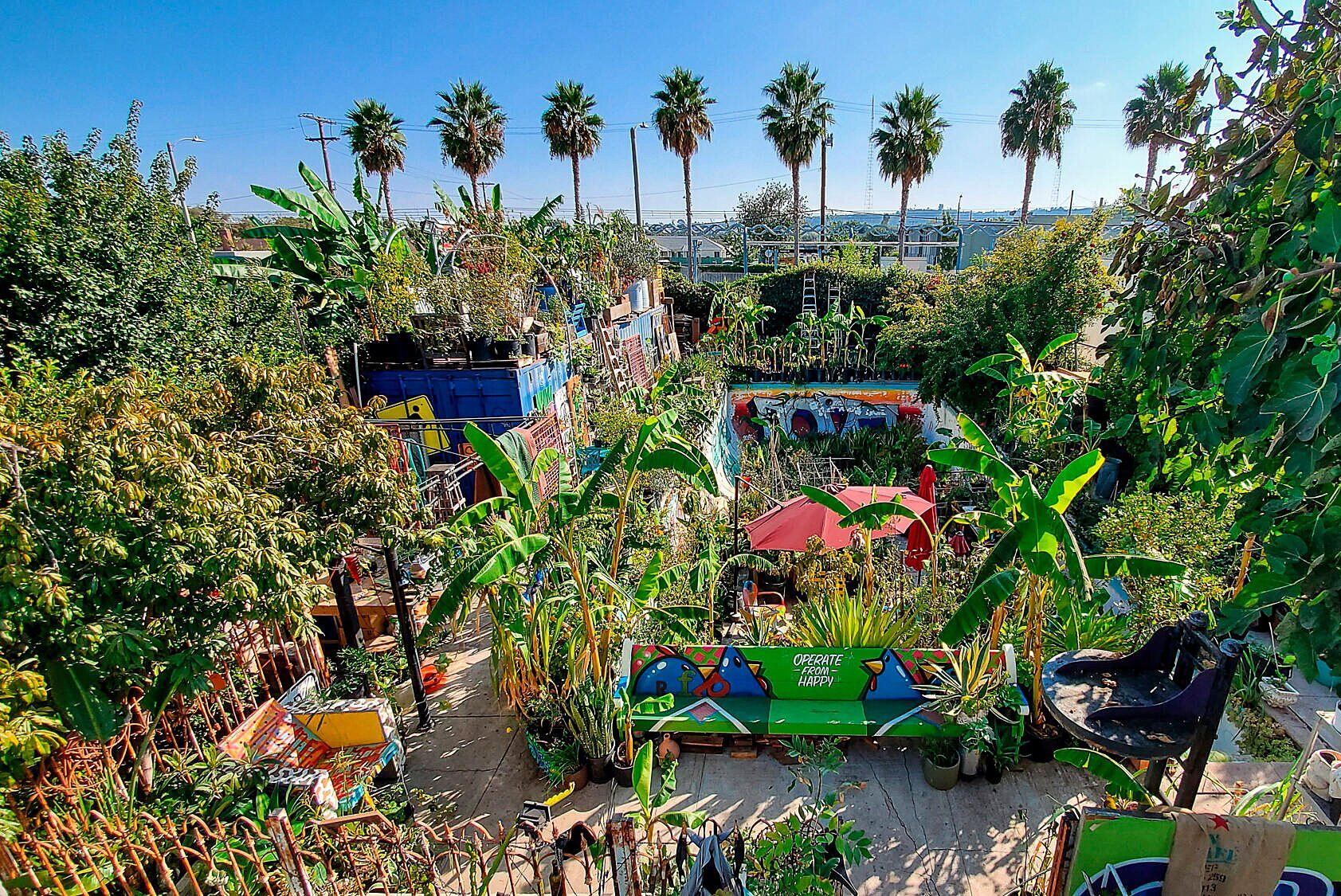 A vibrant urban community garden with lush green plants, banana trees, colorful artwork, and raised garden beds, set under a row of tall palm trees on a bright, sunny day.