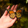 A hand holding a monarch butterfly